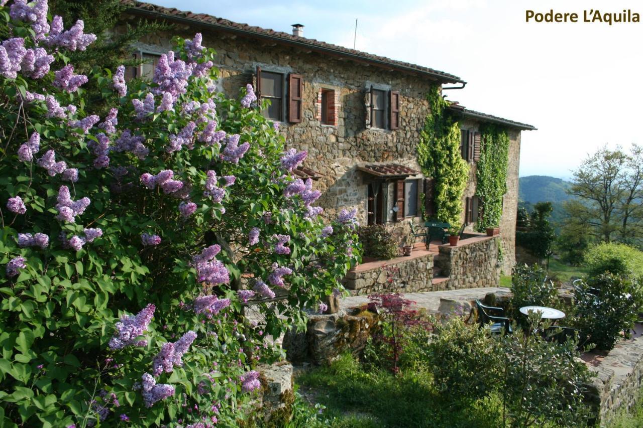 Podere L'Aquila Gaiole in Chianti Bagian luar foto