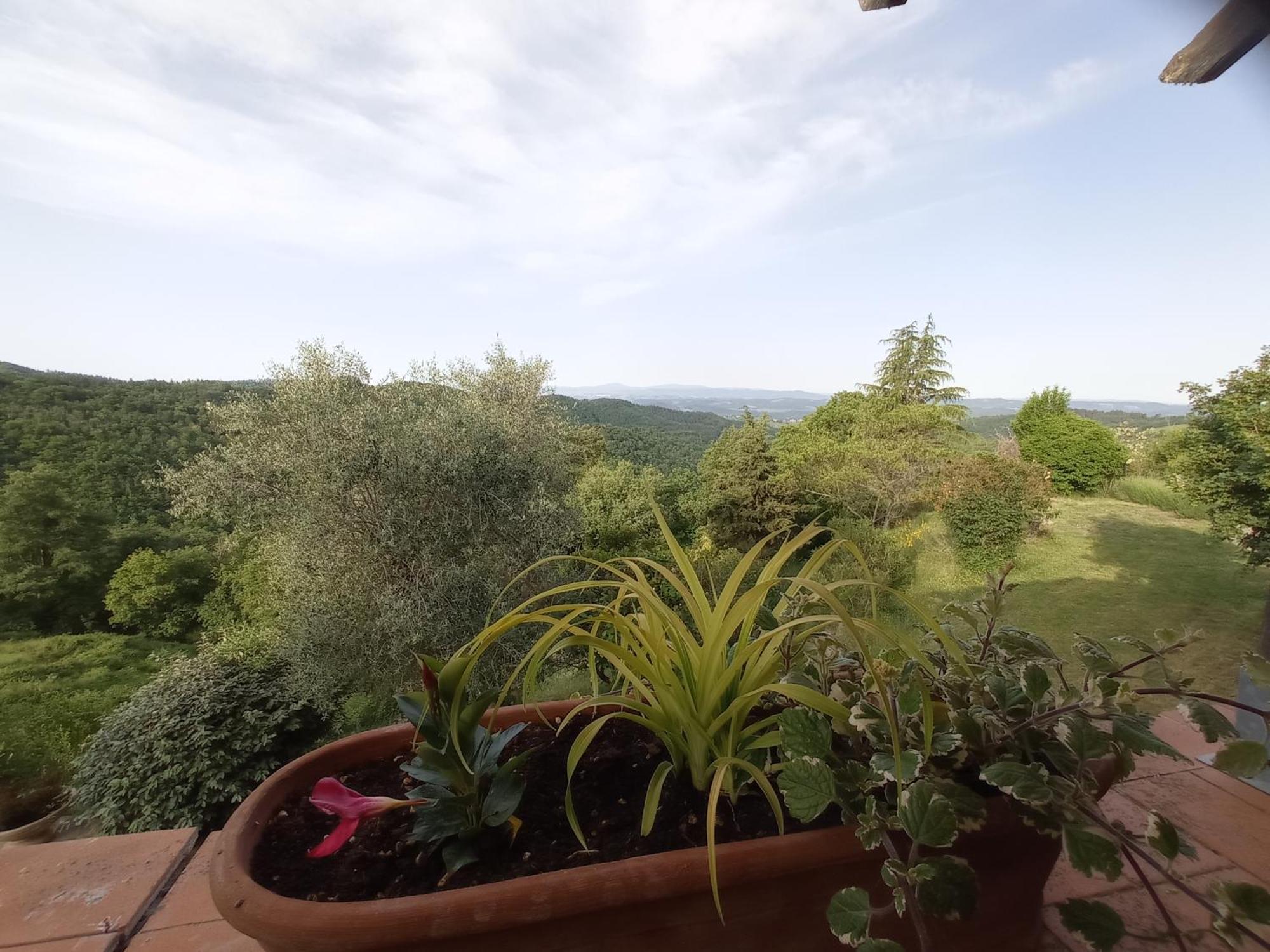 Podere L'Aquila Gaiole in Chianti Ruang foto